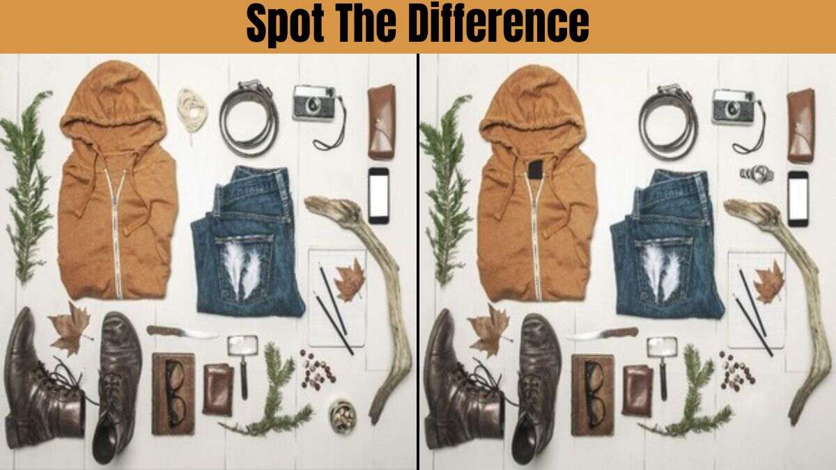Spot The Difference: Find 5 differences in 23 seconds