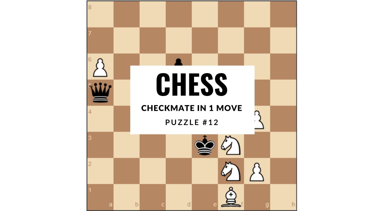 Chess Game With Answers, Checkmate In 1 Move
