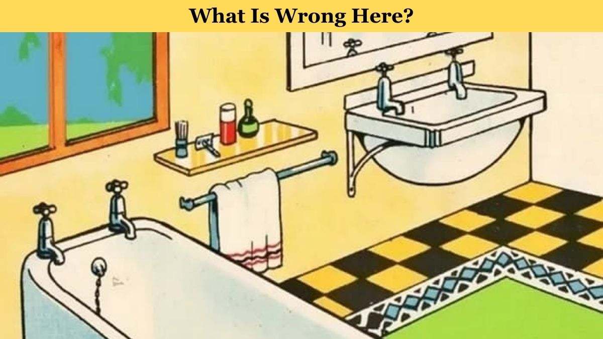 How Intelligent Are You? Find What Is Wrong With The Bathroom Picture In 7 Seconds!