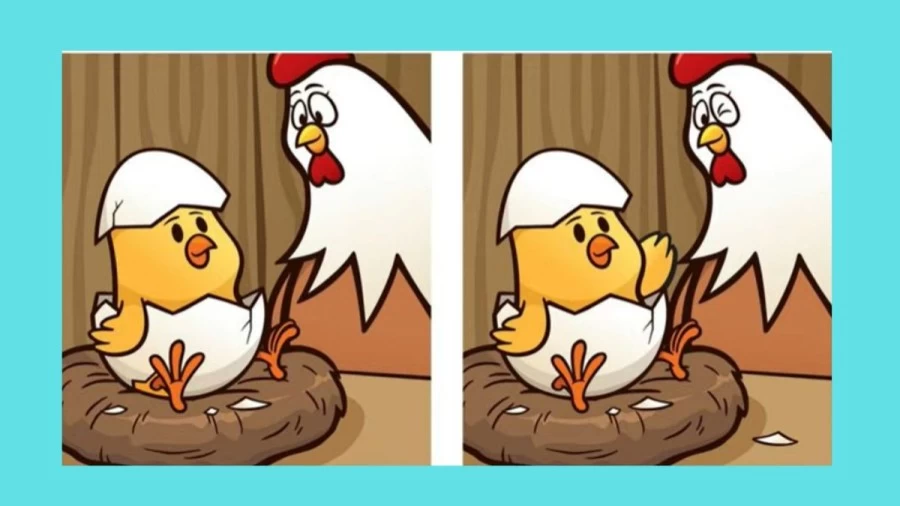 Spot the Difference Game: Only a Genius can Find the 5 Differences in less than 20 seconds!