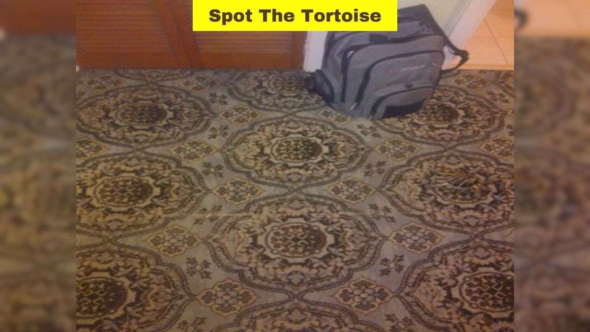 Optical Illusion Challenge: Can You Spot The Tortoise Within 5 Seconds?
