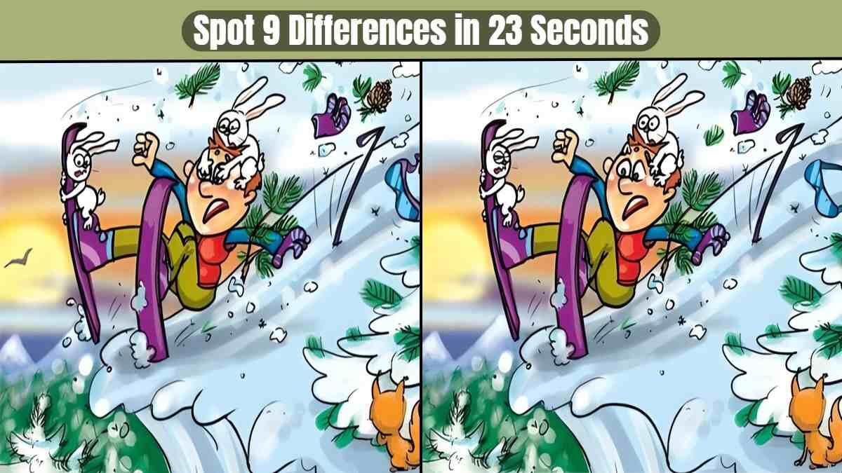 9 Differences in 23 Seconds: Can You Master the Spot the Difference Challenge?