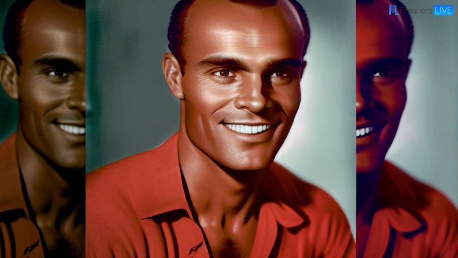 Best Harry Belafonte Songs - You Can