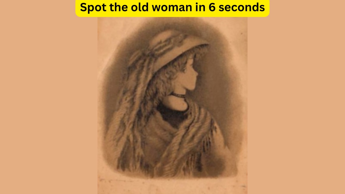 Optical Illusion Challenge: Spot the old woman in 6 seconds