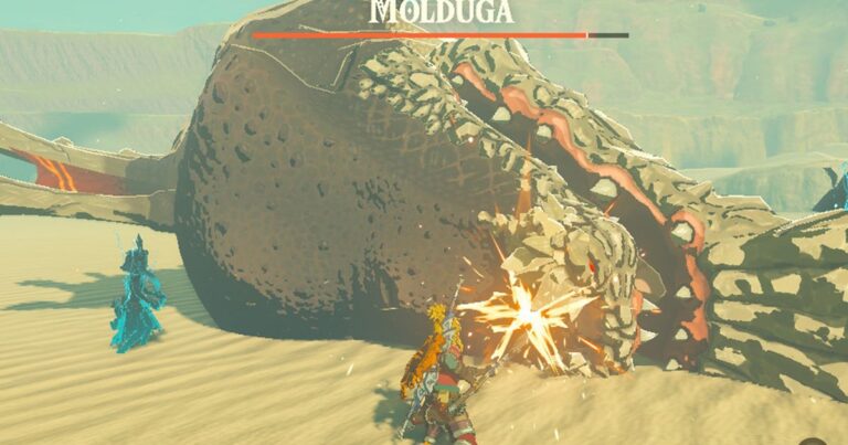 How to beat Molduga in Zelda Tears of the Kingdom