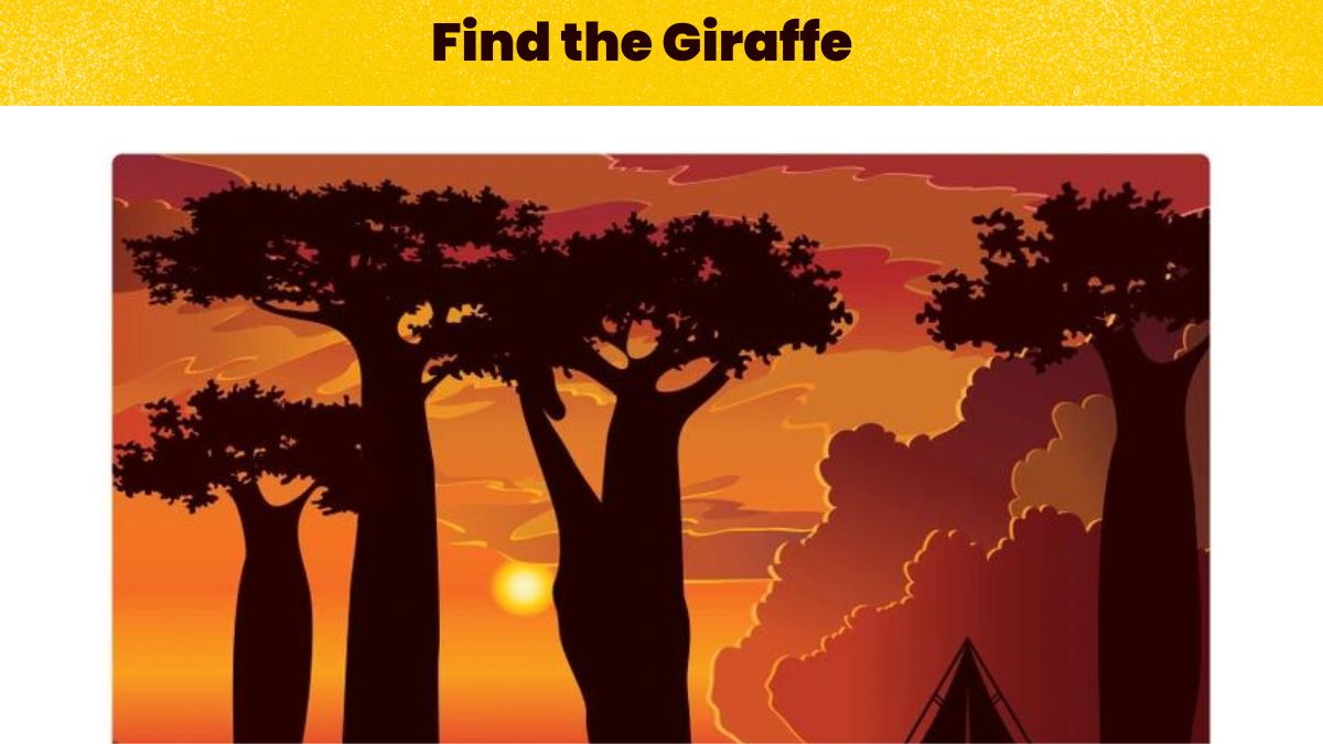 Do you see a Giraffe here?