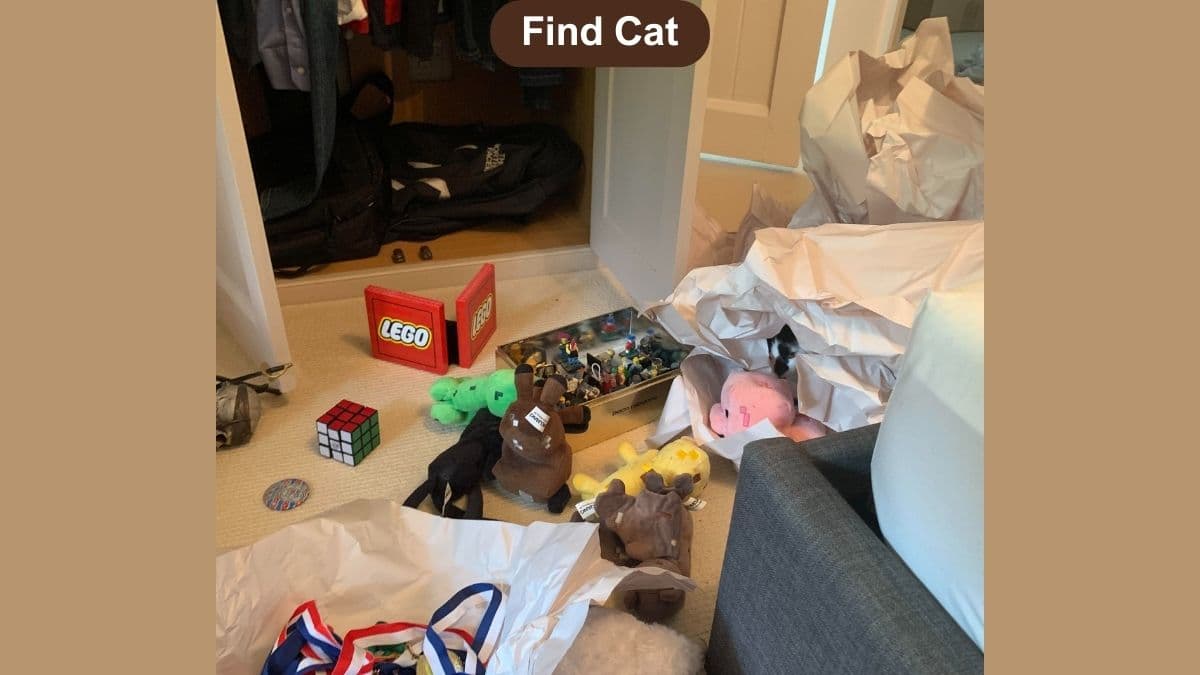 Optical Illusion Visual Skill Challenge: Find the cat in the room in 8 seconds