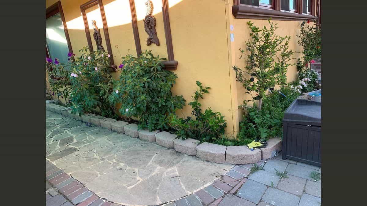 Find Cat on Pavement in 10 Seconds Optical Illusion
