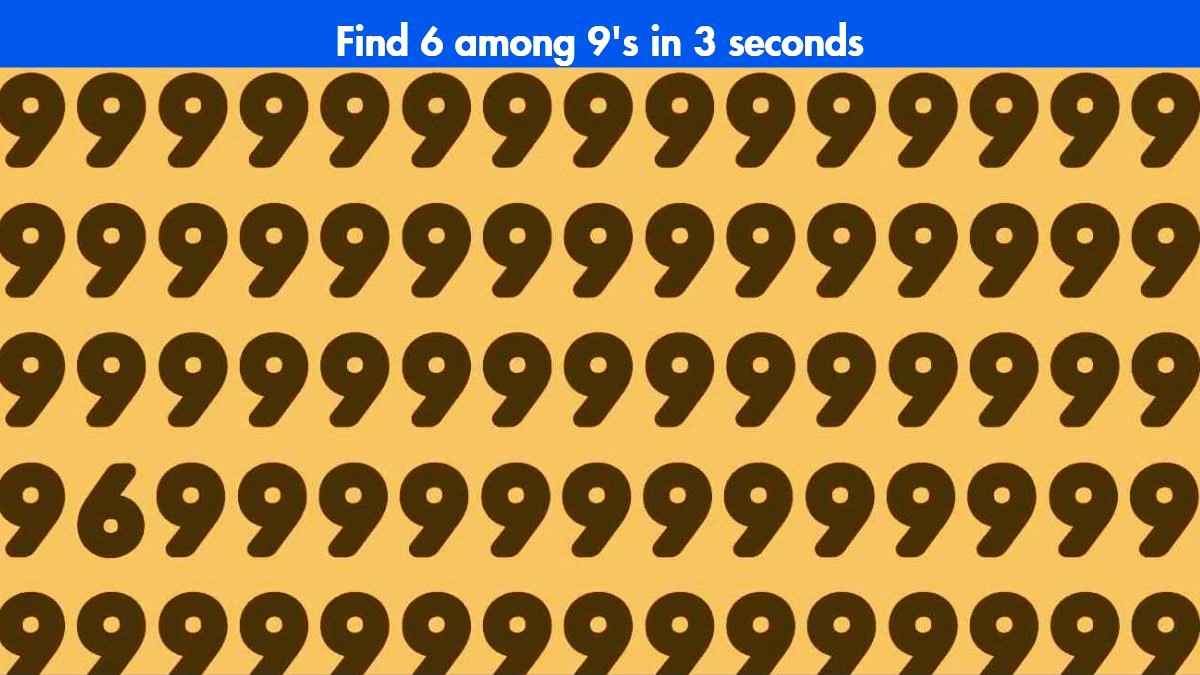 Optical Illusion: Find 6 among 9