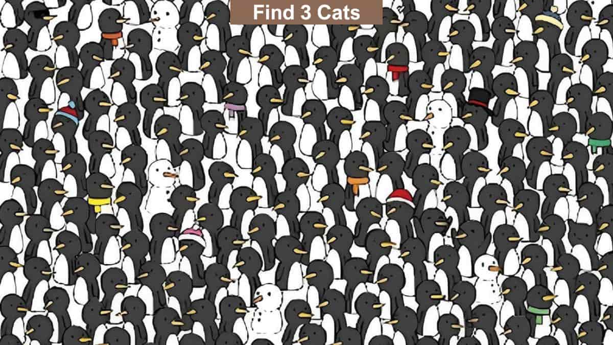 Optical Illusion to Test Your Vision: Find 3 Cats Among Penguins in 10 Seconds