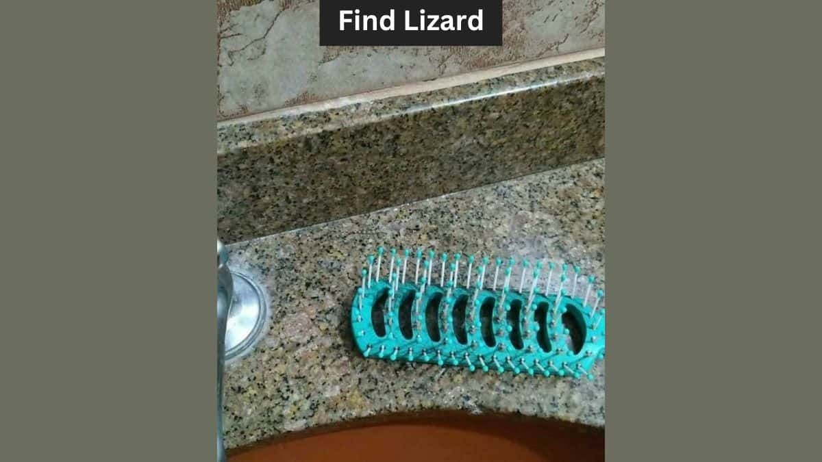 Optical Illusion to Test Your Vision: Find a Lizard in the Bathroom in 6 Seconds