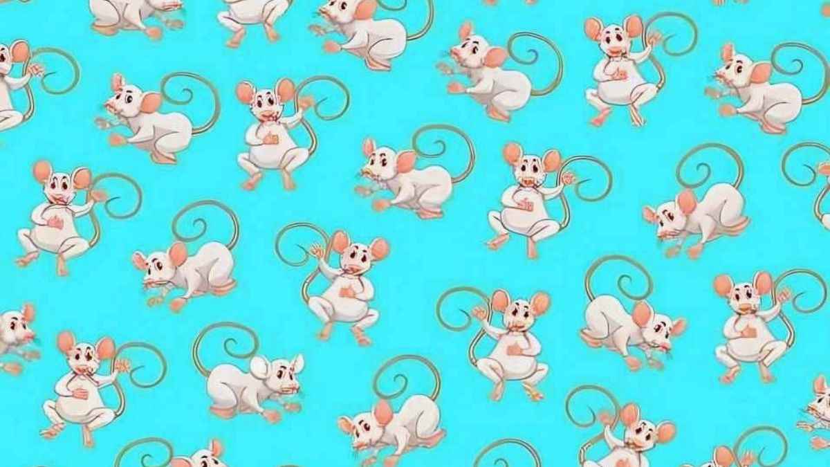 Find Mouse with White Ears in 5 Seconds
