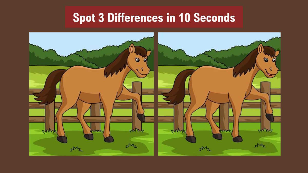 Spot 3 differences between two horse pictures in 10 seconds