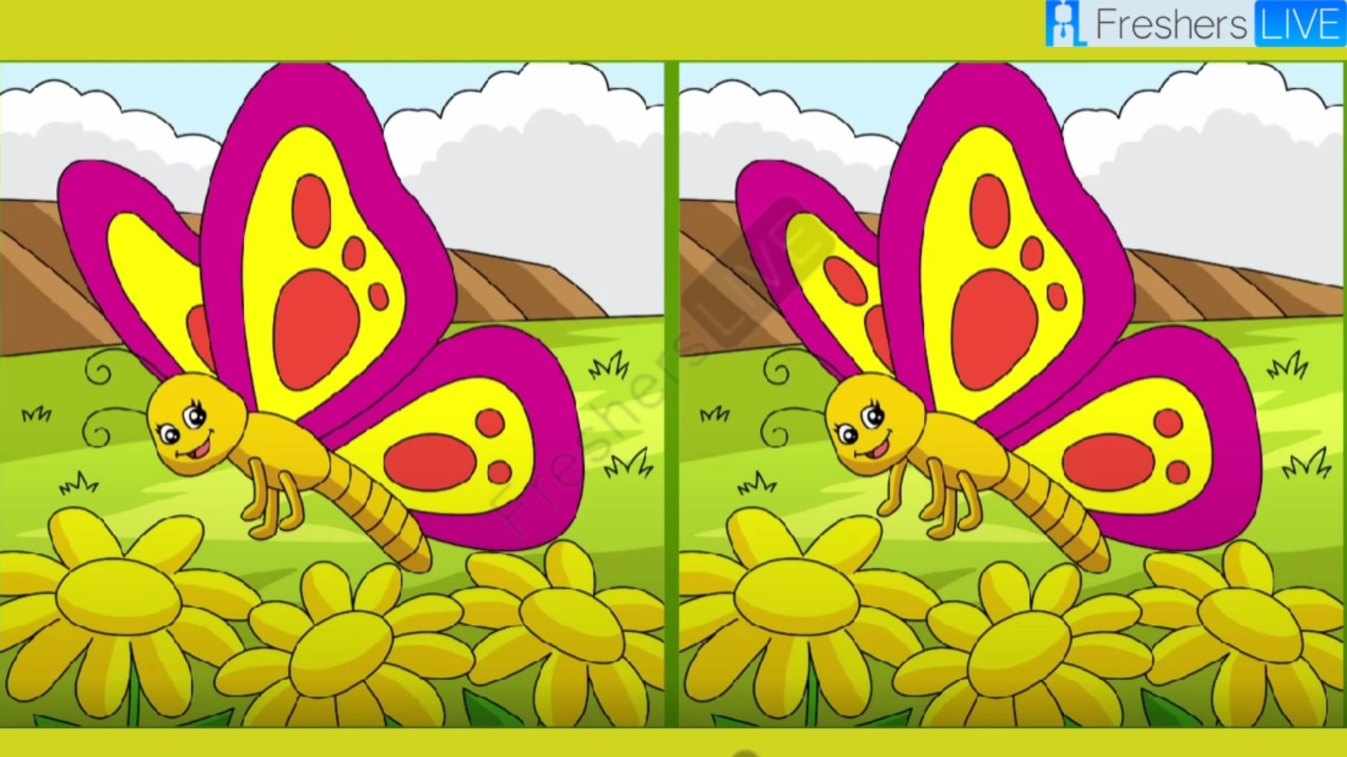 Spot the 3 Differences in the Butterfly Pictures - Test Your Observation Skills!