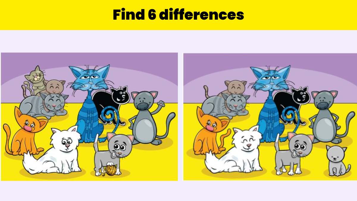Spot 6 differences between the two pictures