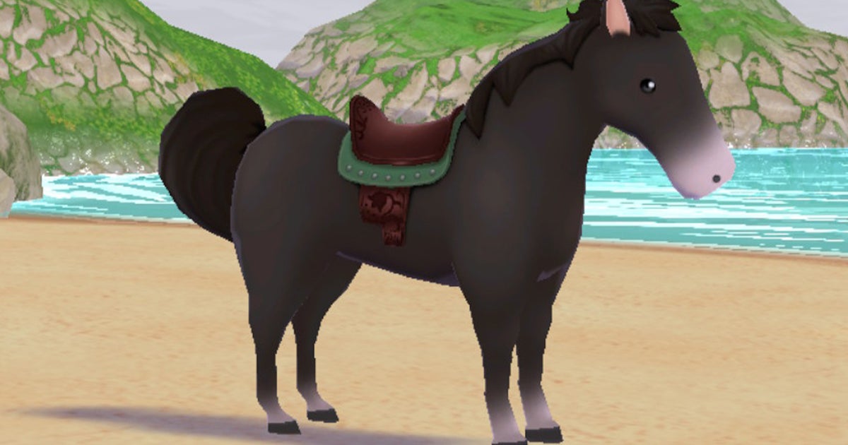 Story of Seasons A Wonderful Life horse and horse colours explained