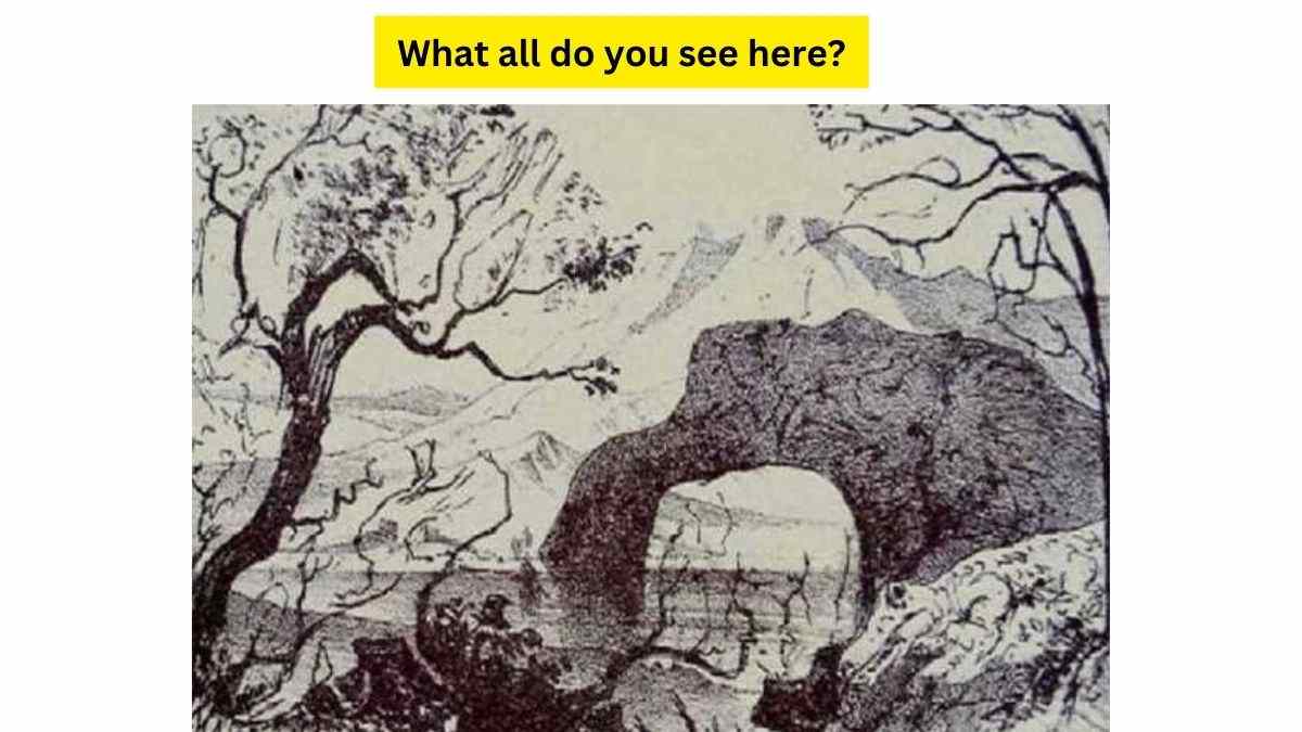 What all you can see here?