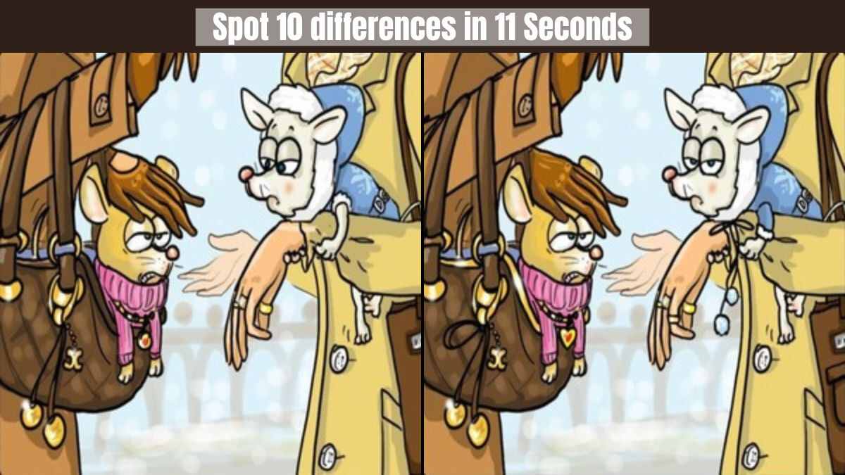 Spot 10 differences in 11 Seconds