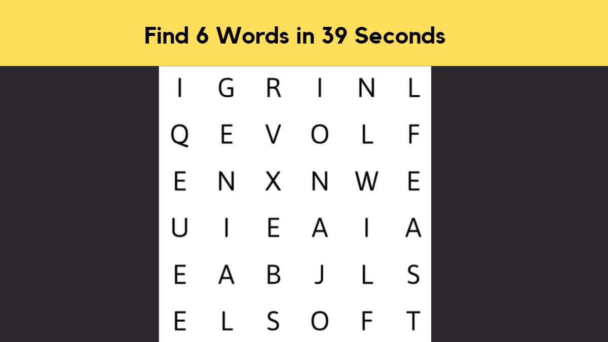 Word Search Puzzle - Find 6 Words in 39 Seconds