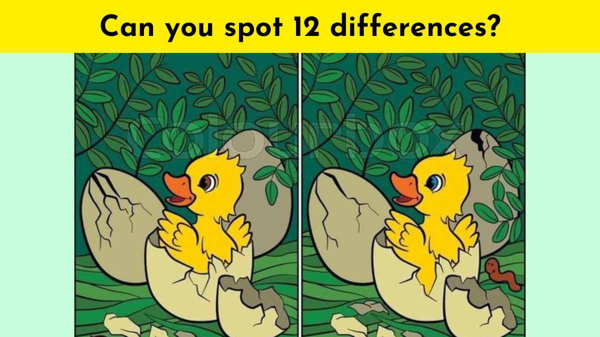 Spot 12 differences in 21 seconds