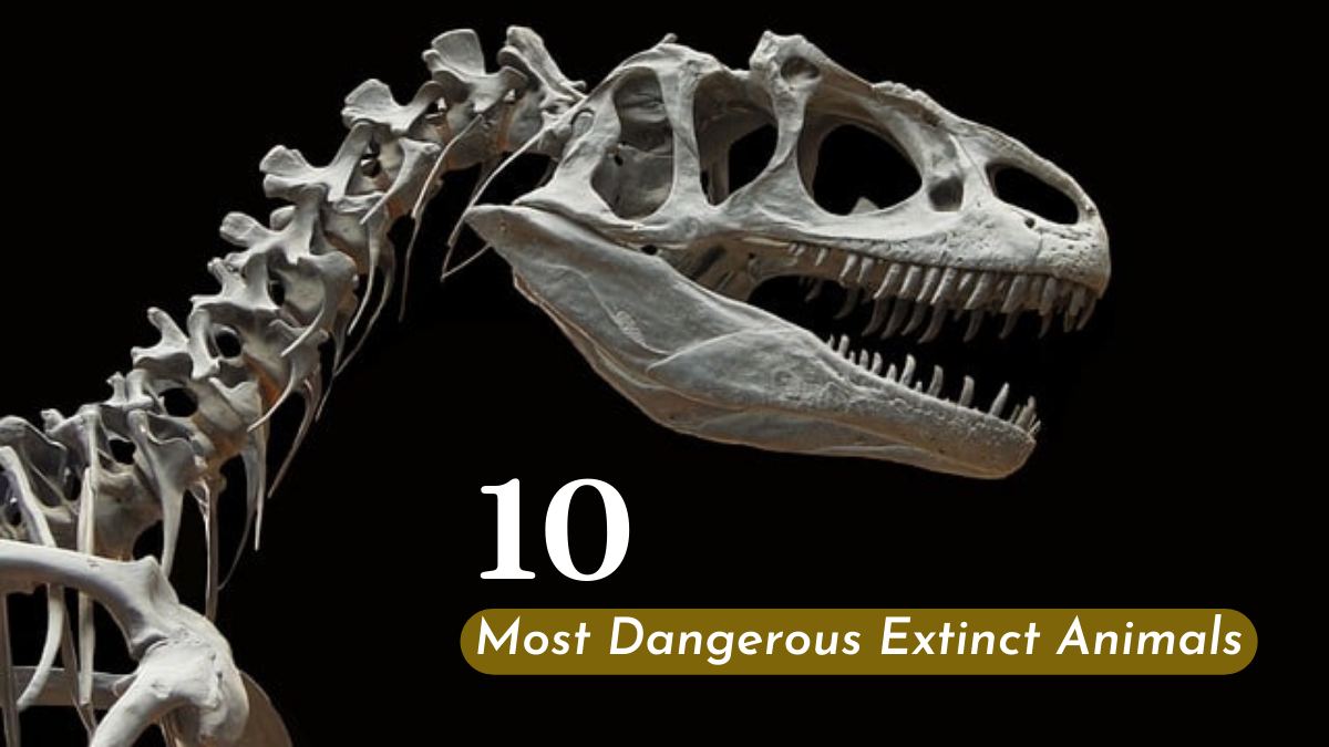 10 of the Most Dangerous Extinct Animals To Have Roamed The Earth