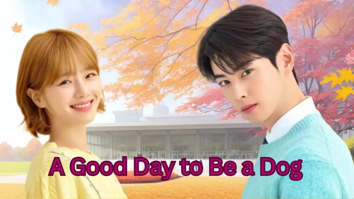 A Good Day to Be a Dog Episode 1 Ending Explained, Release Date, Cast, Plot, Review, Summary, Where to Watch and More