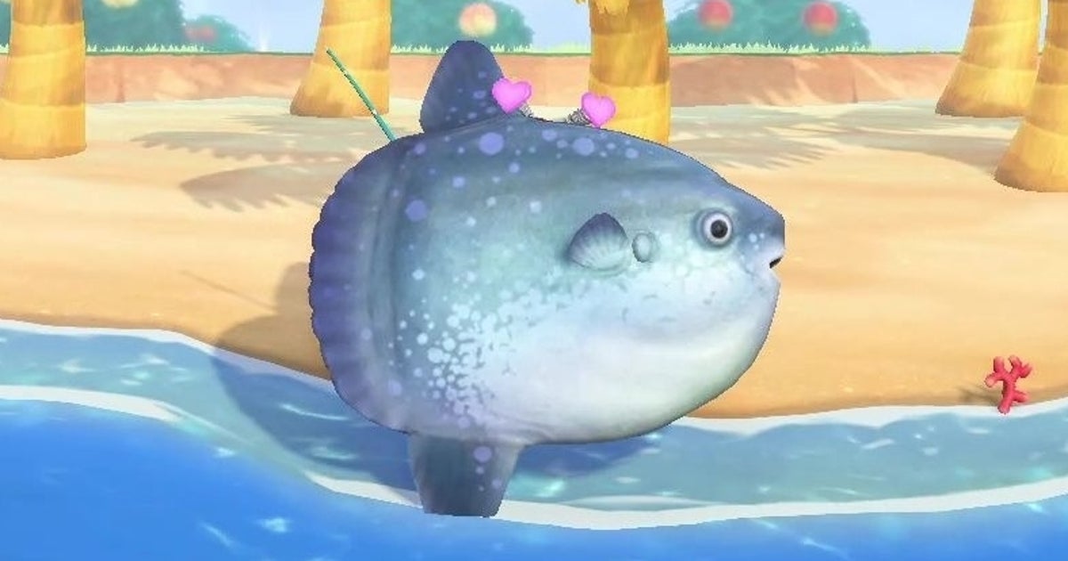 Animal Crossing Ocean Sunfish: How to catch the Ocean Sunfish in New Horizons