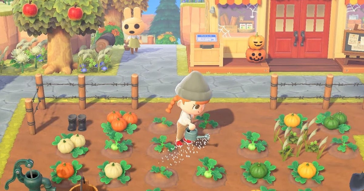 Animal Crossing Pumpkins: How to grow pumpkins, pumpkin colours and how to use pumpkins in New Horizons explained