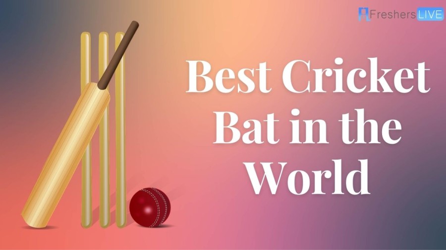 Best Cricket Bat in the World - List of Top 10