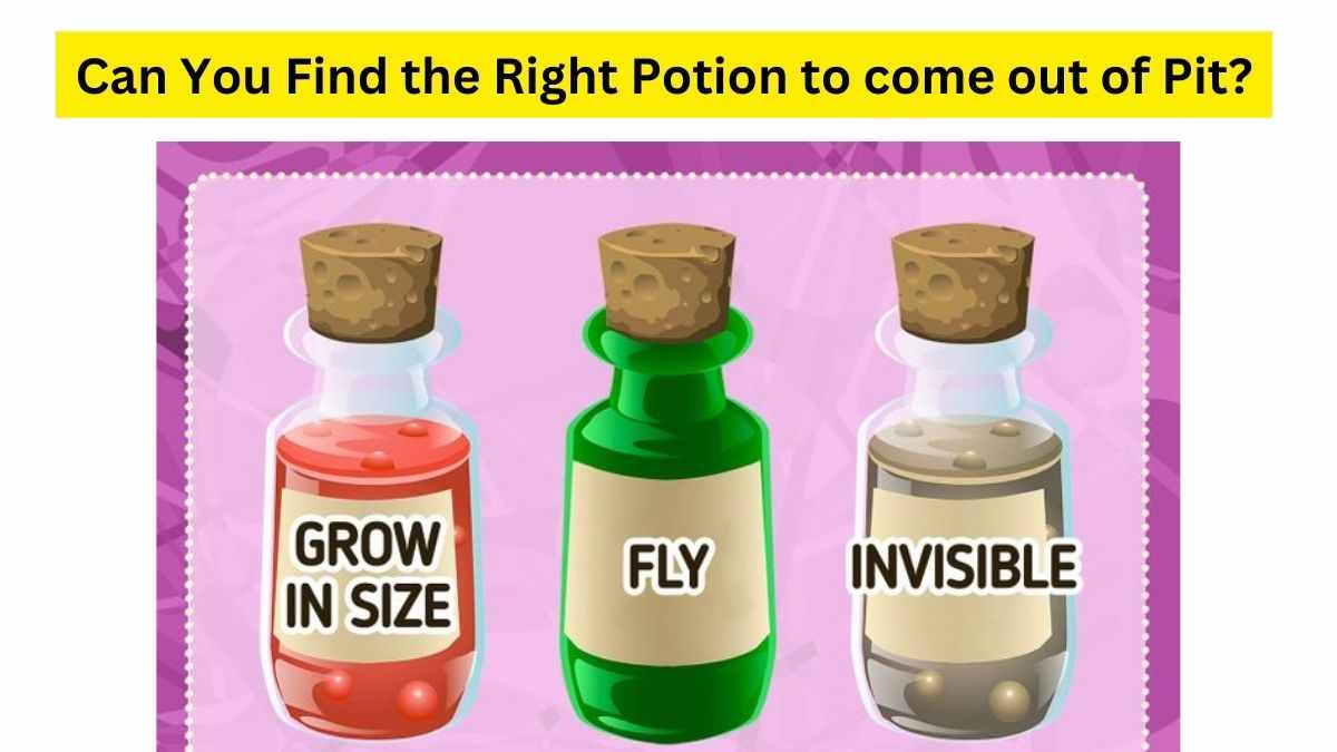 Choose the Right Potion to come out of the Pit.
