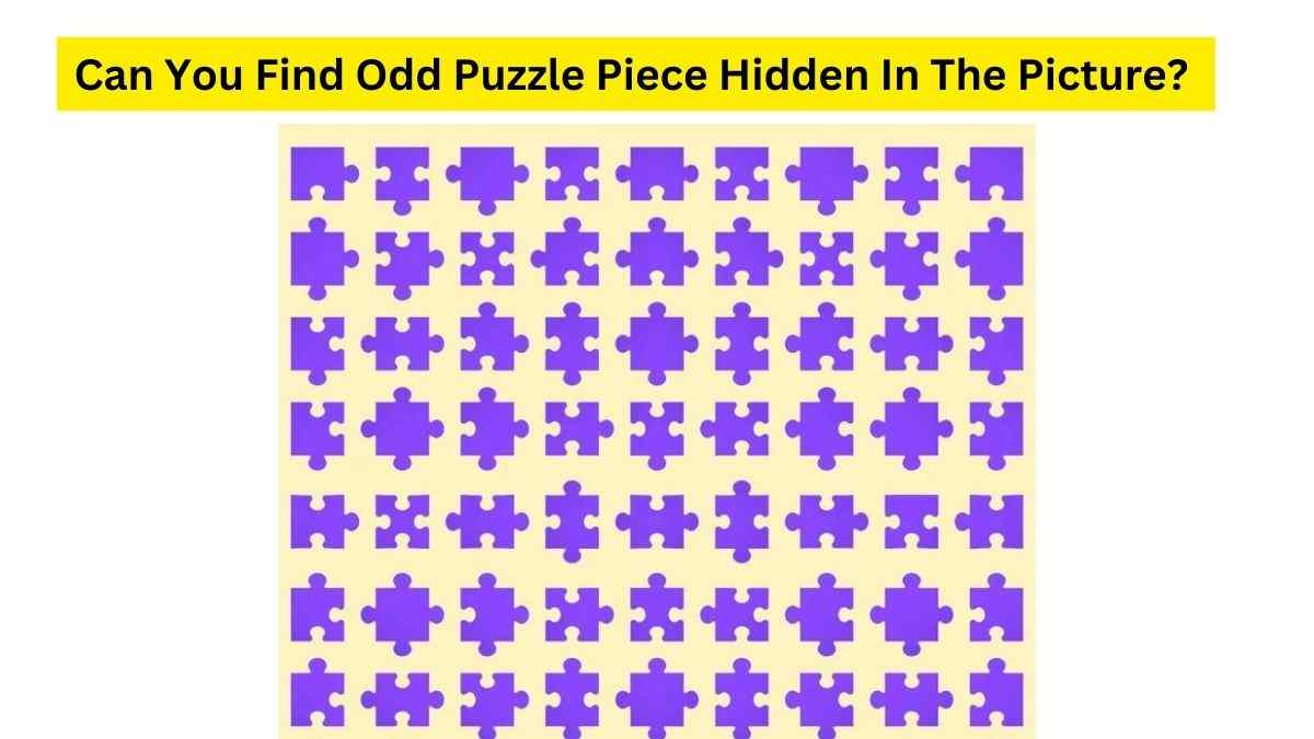 Do you see an odd puzzle piece here?