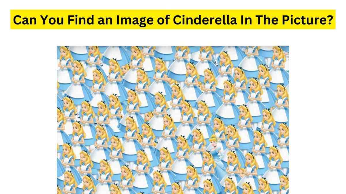 Do You See Cinderella Hidden In The Picture?