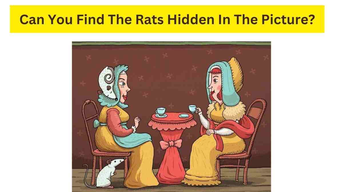 There are total 3 rats in the picture