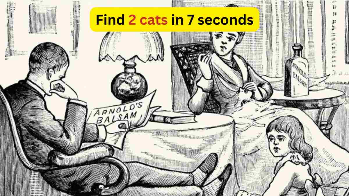 Brain Teaser- Find 2 cats in the 1800s picture in 7 seconds