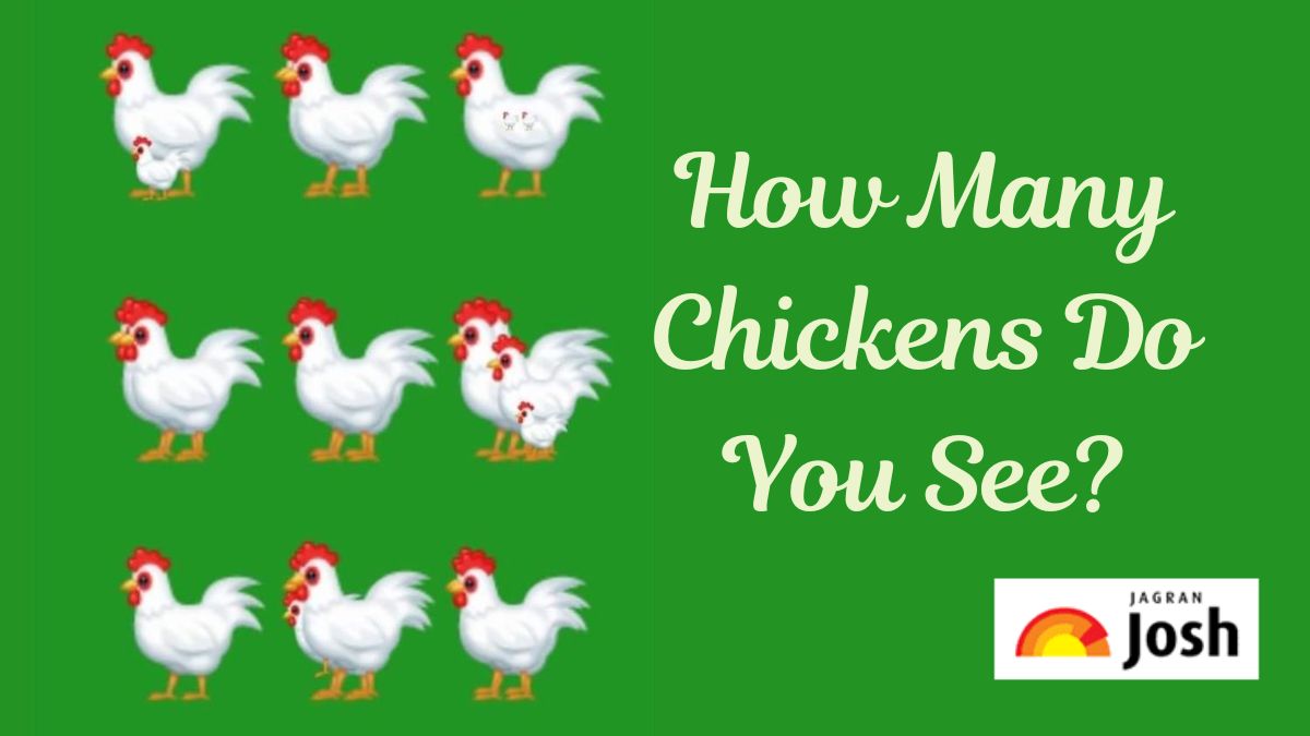 How many chickens do you see in the picture within 15 secs?