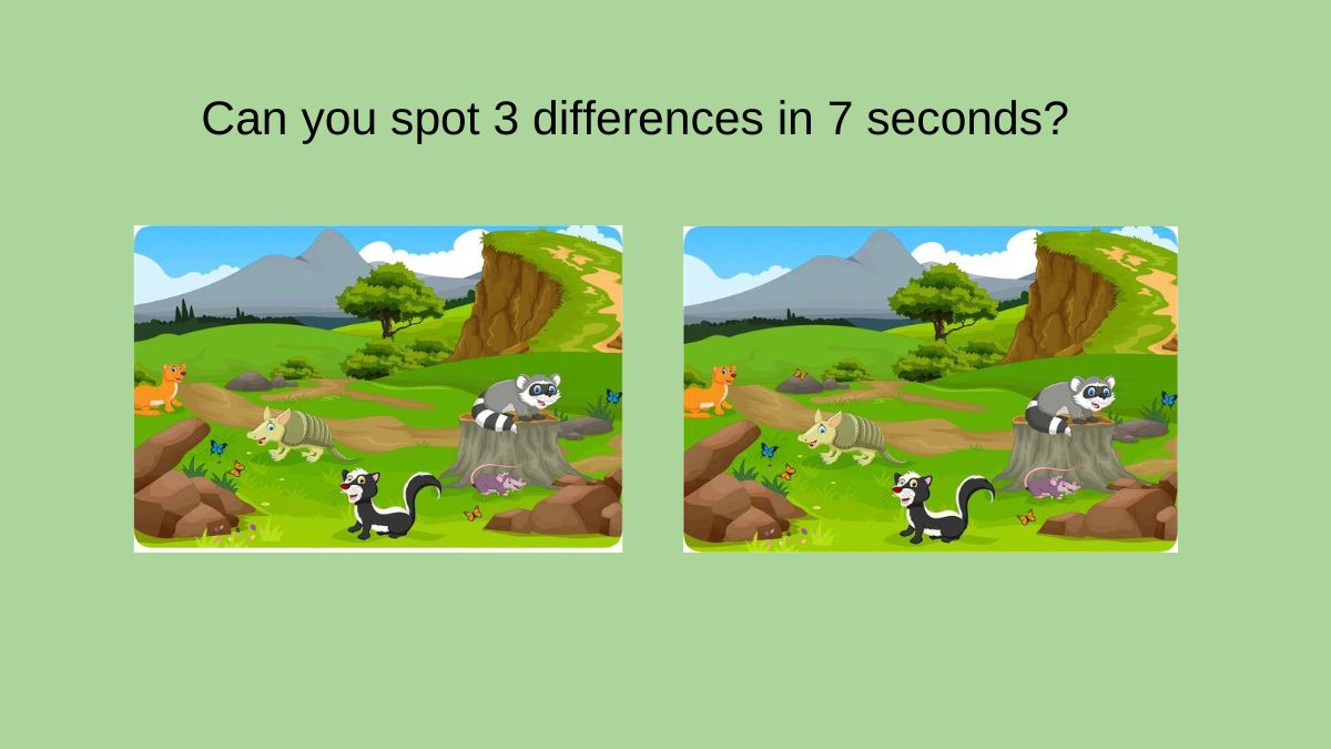 Can you spot 3 differences in 7 seconds?