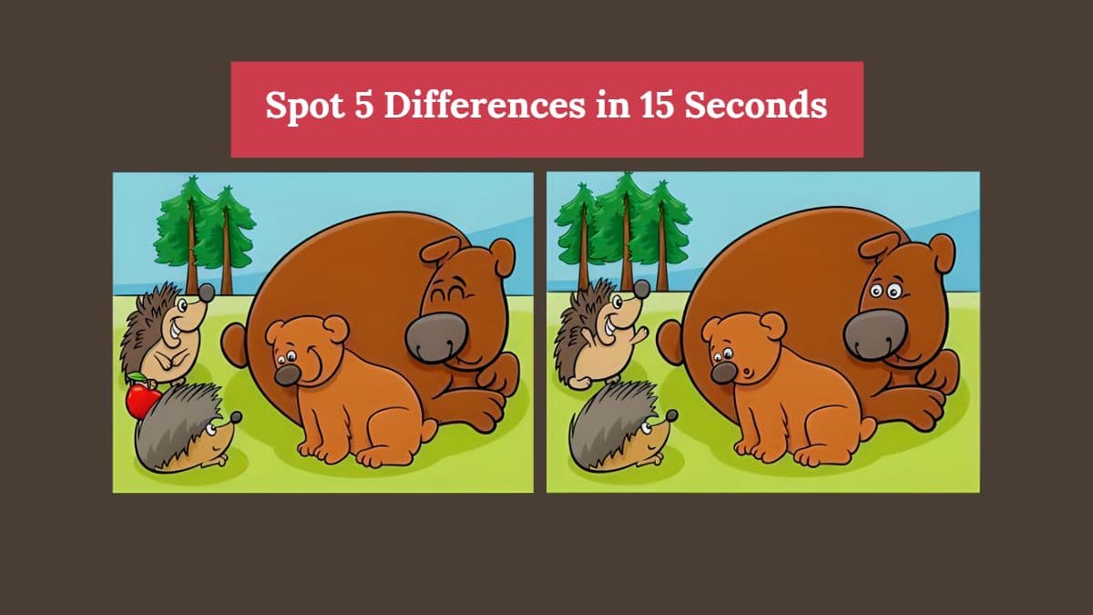 Spot the Difference - Spot 5 Differences in 15 Seconds