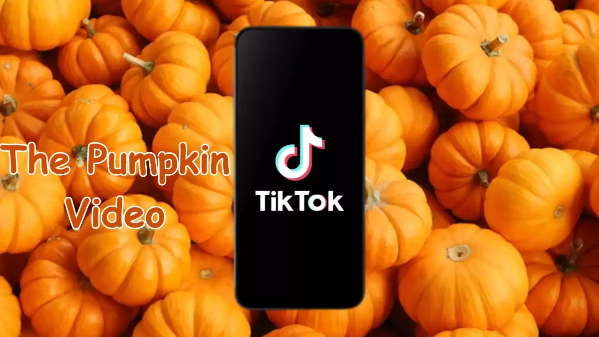 The Pumpkin Video Explained, What is the Pumpkin Video?