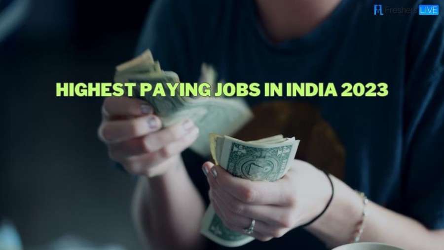 Highest Paying Jobs in India [ Top 10 List 2023 ]
