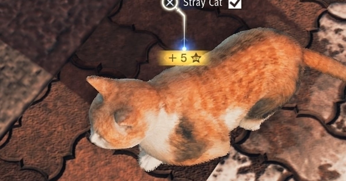 Judgment Cat locations: Where to find all Stray Cats in main missions
