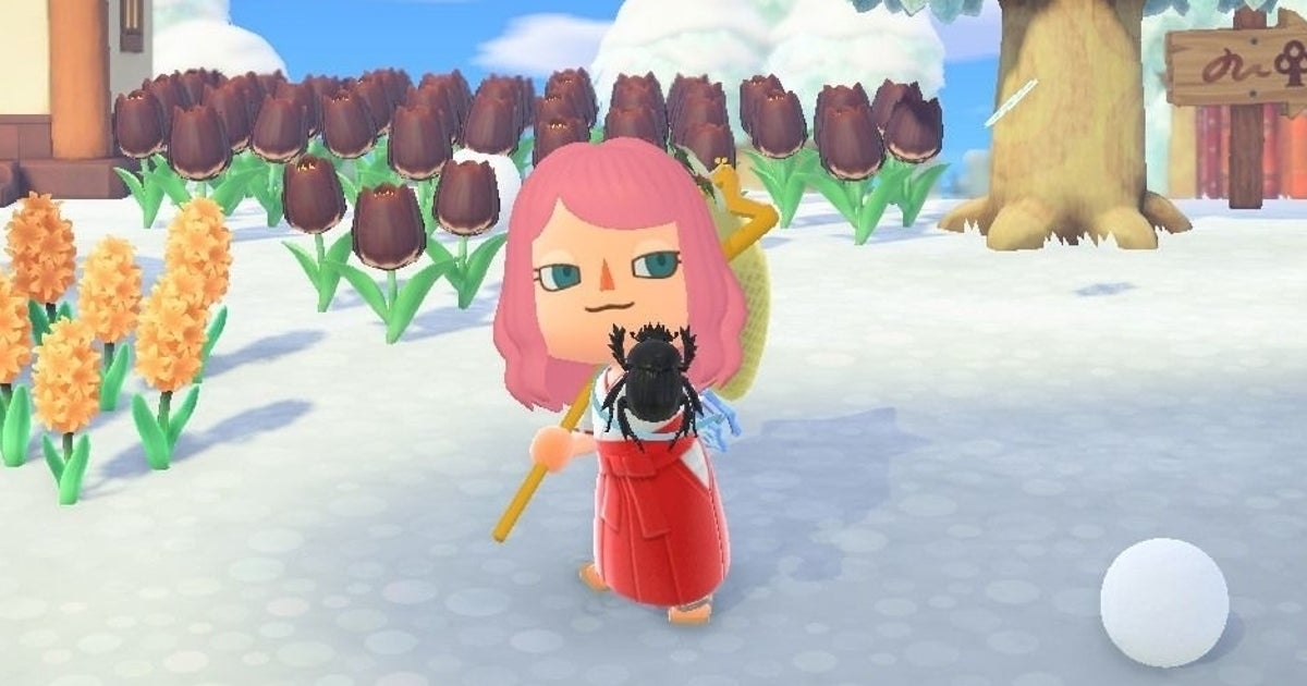 New Bugs and Fish in February: Everything arriving and leaving this month in Animal Crossing: New Horizons