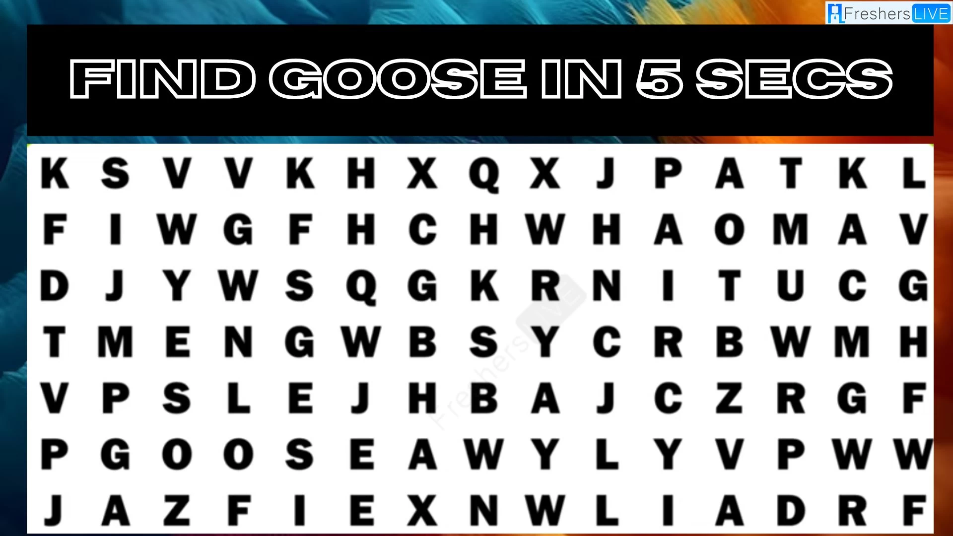 Only 4k Visual People Can Find the Word Goose in Just 5 Seconds