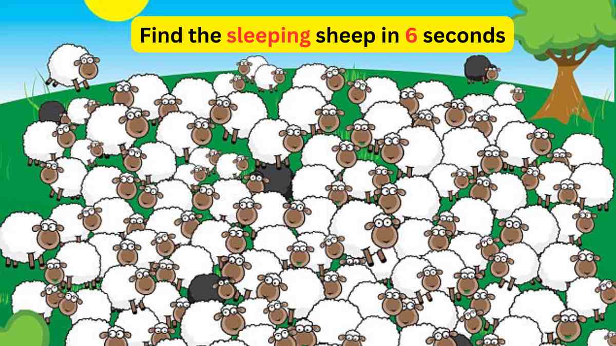 Brain Teaser- Spot the sleeping sheep in 6 seconds