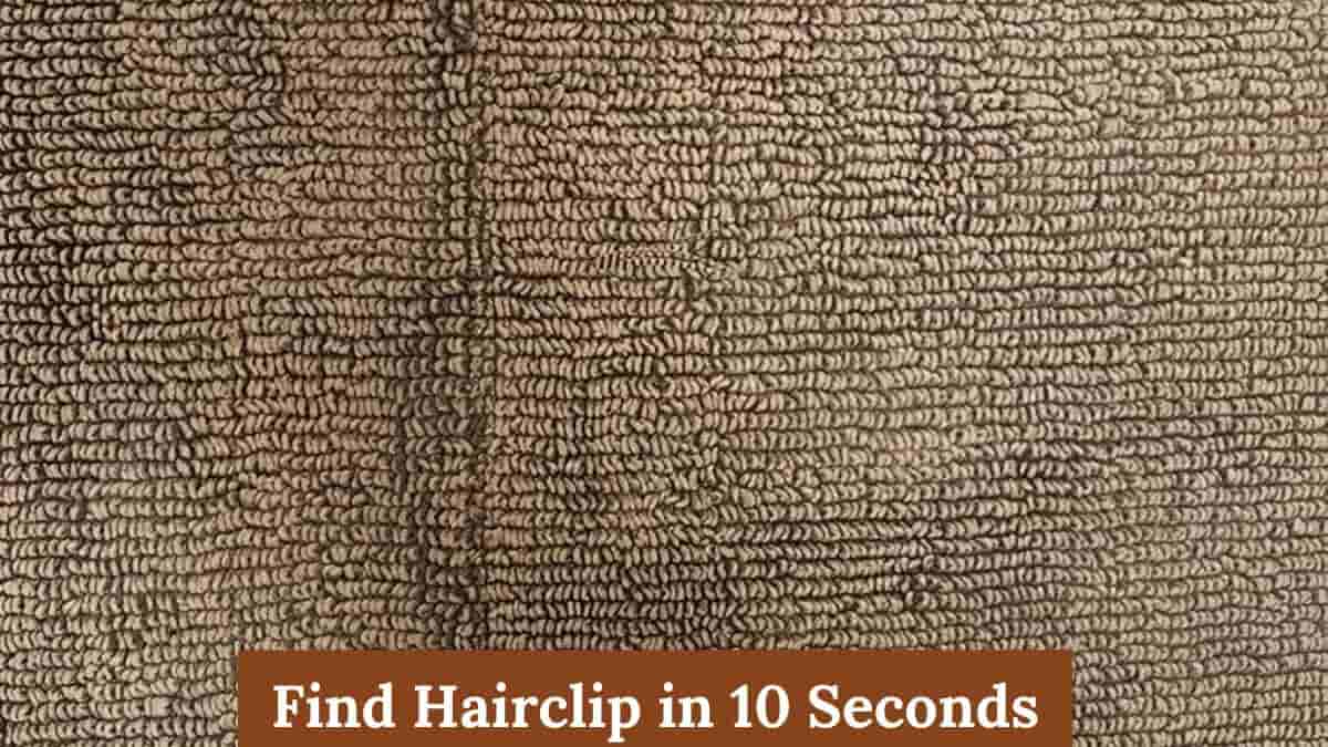 Find Hairclip in 10 Seconds