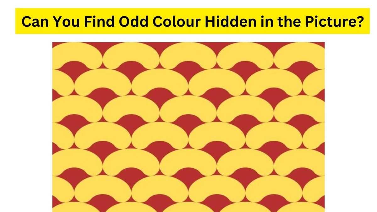 Do you see any odd colour?