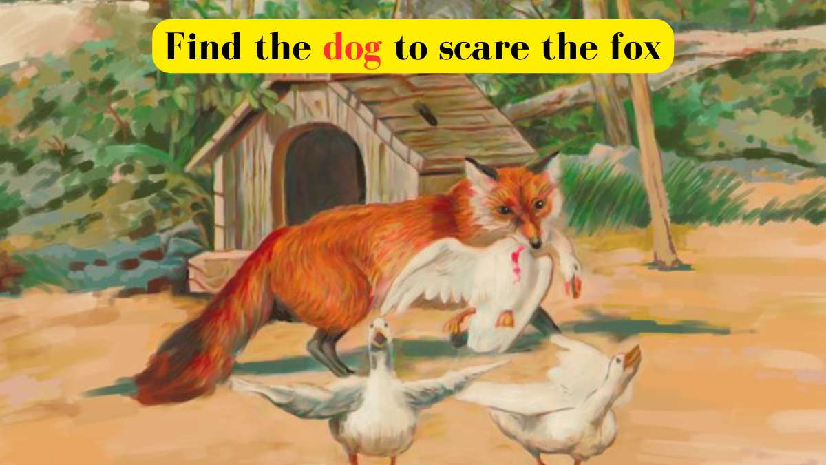 Optical Illusion - Spot the dog to scare away the fox in 8 seconds