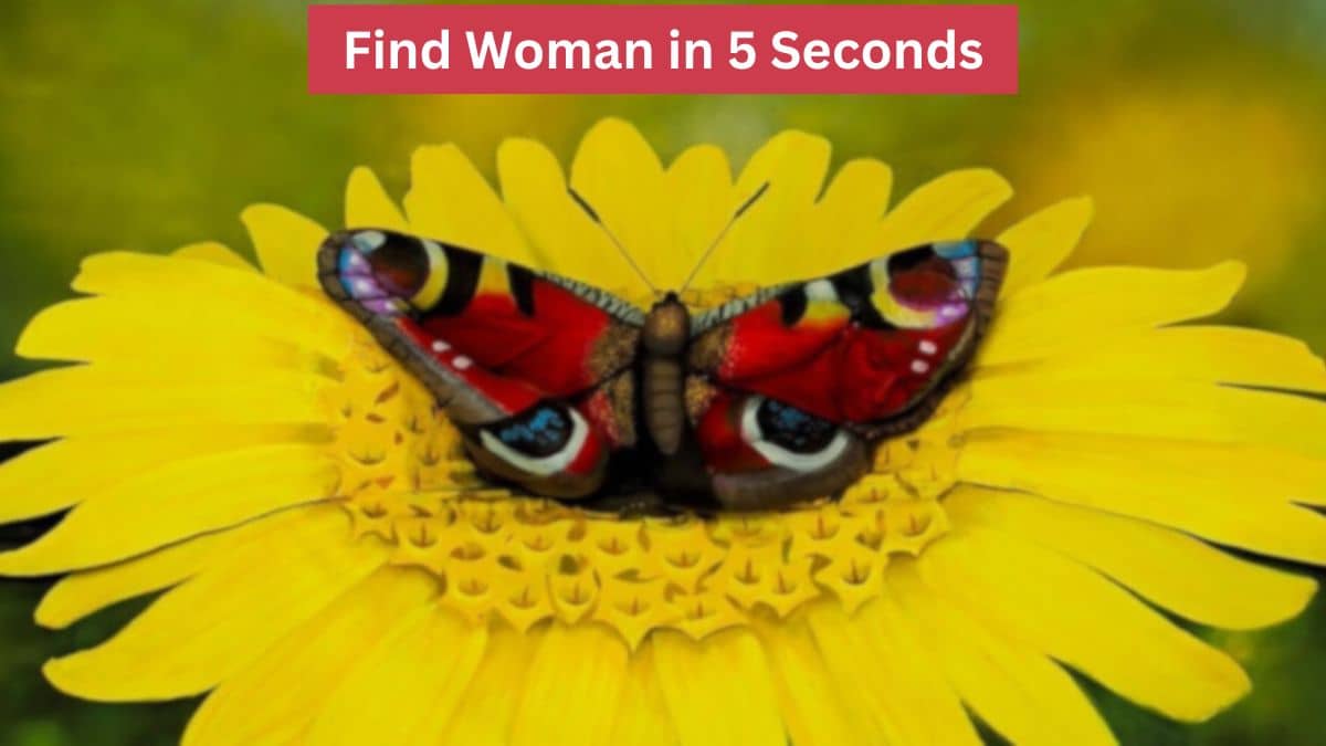 Find Hidden Woman in 5 Seconds
