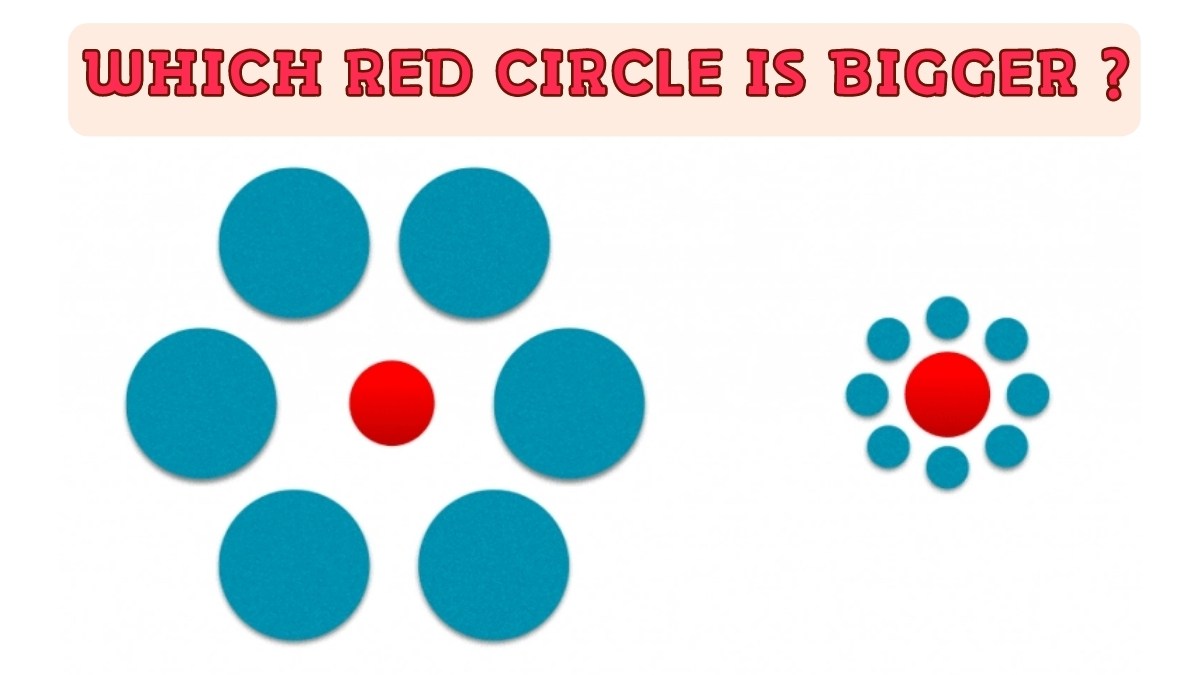 Guess Which Red Circle is Bigger in 5 Seconds