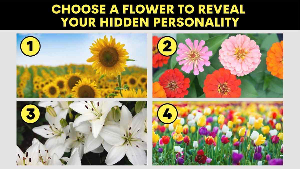 Personality Test: The Flower You Choose Reveals Your Hidden Personality Traits