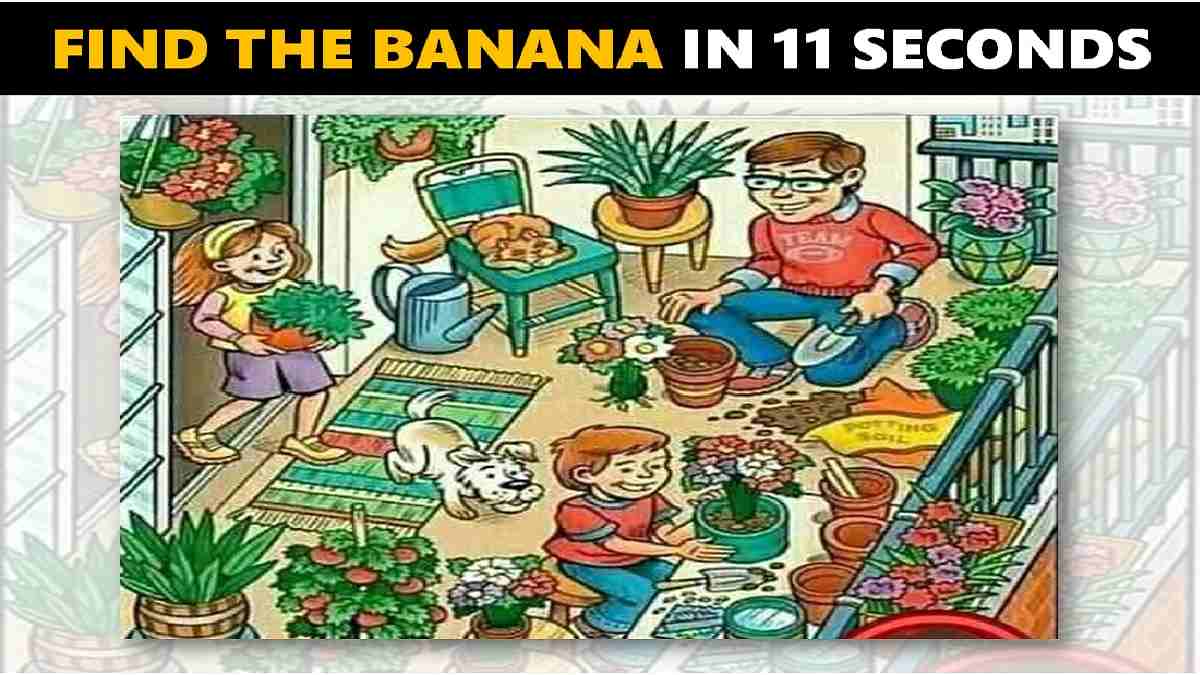 Picture Puzzle: Find The Banana In This Image In 11 Seconds, Check Your Brain Power